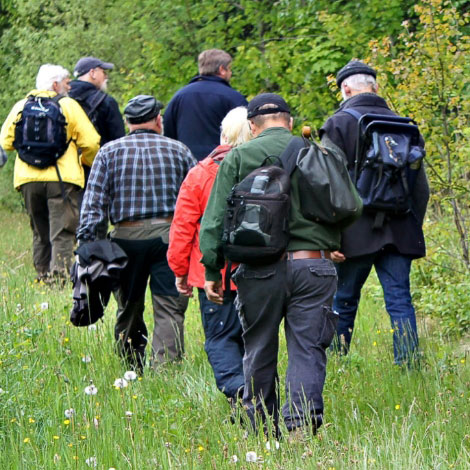 Vandra på Roslagsleden